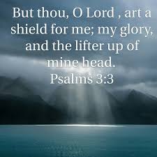 Image result for Psalm 3:3
