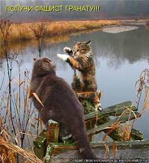 Котоматрица: ПОЛУЧИ ФАШИСТ ГРАНАТУ!!!
