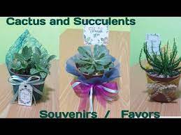 You're lost and thirsty in a desert. 3 Simple Ways On How To Wrap Cactus And Succulent Souvenirs Youtube
