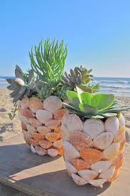 Pack from etsy shop lovely terrariums piantare piante grasse, piante di. 50 Modi Di Creare Un Giardino Succulento Incantato Nel Tuo Cortile Home Decor