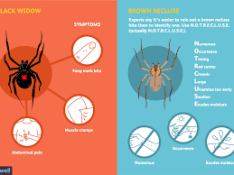 Spider bites are rarely a serious health threat, but knowing the kind of spider they're also not harmful, though you may have a red bump along with a little pain and itching. Spider Bites Overview And More