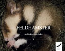 Projektregion Niedersachsen Feldhamsterland
