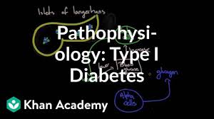 pathophysiology type i diabetes video khan academy