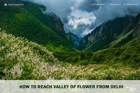 The valley of flowers has enshrined in hindu mythology. How To Reach Valley Of Flower From Delhi By Bus Train Flight