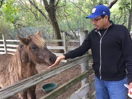 Check spelling or type a new query. Photo4 Jpg Picture Of Animal Farm Petting Zoo Manorville Tripadvisor