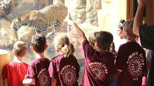 Nashville zoo is monitoring the current situation and putting safety procedures into place that will best keep our campers and camp staff safe. Zoo Camps Elmwood Park Zoo