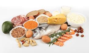 Periodi di definizione nella fase di. Come Aumentare La Massa Muscolare Con L Alimentazione