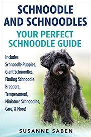 Most schnoodles are screened for problems like hip dysplasia, hypothyroidism, von willebrand disease (similar to hemophilia in humans), and elbow dysplasia and receive health clearances for those conditions before adoption. Schnoodle And Schnoodles Your Perfect Schnoodle Guide Includes Schnoodle Puppies Giant Schnoodles Finding Schnoodle Breeders Temperament Miniature Schnoodles Care More Saben Susanne 9781911355120 Amazon Com Books