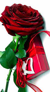 Pin By Marianne Aebischer On Expresiones Red Rose Flower Red Rose Pictures Rose Flower Wallpaper