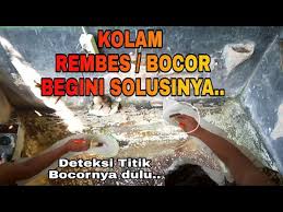 073 Kolam Bocor Atau Rembes Inilah Cara Mengatasi Masalahnya Tehnik Praktis Biaya Murah Youtube