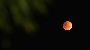 Maybe you would like to learn more about one of these? Awesome Super Blue Blood Moon Photos And The Tech That Captured It Gadgetmatch