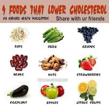 91e49b47ec014650acc4f9d1a6a49aa9 Jpg 720 720 Pixels Foods To Reduce Cholesterol Cholesterol Foods Cholesterol Lowering Foods