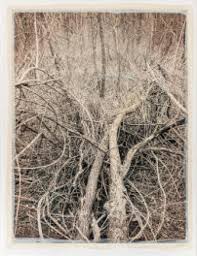 Öffnungszeiten von „anzenberger agency regina maria anzenberger in wien öffnungszeiten telefonnummer kontaktdaten anfahrt bewertungen. Exhibitions Anzenbergergallery