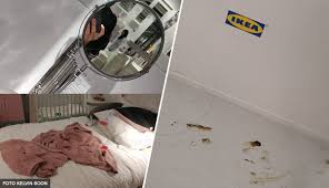 Kerja kosong untuk penganggur terhormat penang. Spesis Beruk Tak Tahu Adab Ikea Batu Kawan Bersepah Najis Pun Ada Ditinggalkan The Reporter