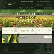 Wholesale Nursery Grower Panoramic Farm Marshville Nc Website Design Beautiful Websites Design