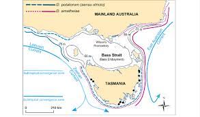 These are the mainland states of victoria, new south wales and queensland, and the island state of tasmania; Map Of South East Australia Showing Major Ocean Currents Shoreline And Download Scientific Diagram