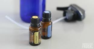 Essential oils are unregulated, unlike traditional methods of pest control. Diy Natural Spider Repellent That Works Fabulessly Frugal