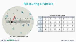 calibrating your microscope