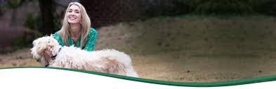 Keep dogs inside our property. Customer Care Product Support Petsafe