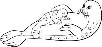 Seal coloring pages bird coloring pages halloween coloring. Coloring Pages Mother Seal With Her Little Cute Baby Clipart Image