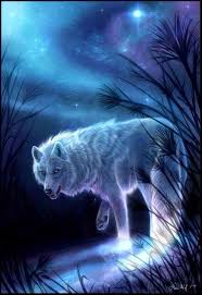 Pin By Reimundo Garcia On Rapunzel Wolf Love Wolf Spirit Fantasy Wolf