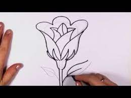 Selain itu, sebenarnya masih banyak objek yang dapat kamu jadikan model dalam membuat sketsa, contoh hewan, sebuah tempat. Cara Menggambar Bunga Mawar Dengan Pensil Youtube