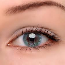 Check spelling or type a new query. Ttdeye Secret Garden Blue Colored Contact Lenses Contact Lenses Colored Green Colored Contacts Colored Contacts