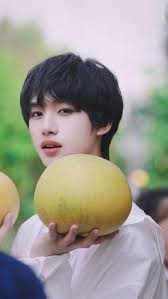 26 Ding Chen xin ideas