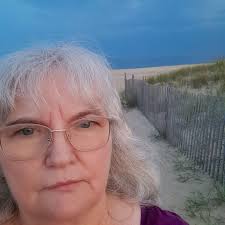 Stray Cat's Struggles Mirror Human Hardships