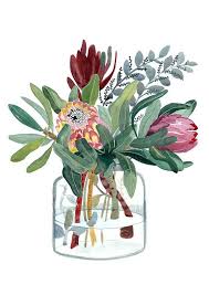 Protea Print Australia Wall Art King Protea Watercolour Print Mother S Day Illustration Botanical Gift For Her Native Flower Watercolor Flower Illustration Australia Wall Art Art