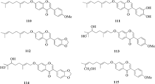 Image result for Millettia usaramensis