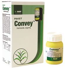 Gramoxone vs roundup pilihan racun rumput paling kuat petani. Convey 330 Sc Herbisida Basf Pertanian Dan Perlindungan Tanaman Indonesia