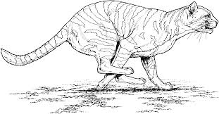 Antistress freehand sketch drawing with doodle and zentangle elements. Big Cat 2 Gif 2960 1546 Cat Coloring Page Coloring Pages Cat Clipart