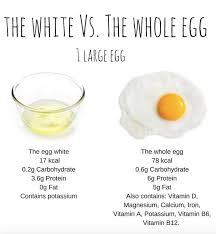 If You Only Eat Egg Whites This Comparison Photo May Change Your Mind Egg Nutrition Egg Nutrition Facts Nutritional Value Of Eggs