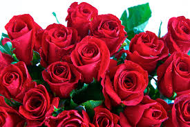 What color flowers represent death? The Meaning Behind 8 Different Types Of Popular Funeral Flowers Everplans