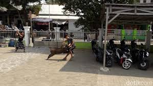 We did not find results for: Warga Serang Sempat Duel Saat Usir Babi Yang Masuk Masjid Kumbanews Com