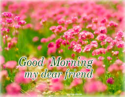 Good Morning Online Images Gifs Wishes