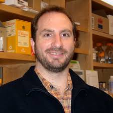 Reptile genomics and evolutionary genetics