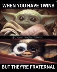 Baby Yoda Fraternal Twins Funny Memes Cute Memes Funny