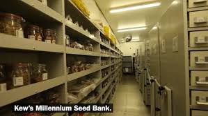 In addition, research carried out at kew and by our partners started to fill vital gaps in our knowledge of science underpinning effective tree conservation. Kew Celebrates 20th Anniversary Of Noah S Ark For Plants Daily Mail Online