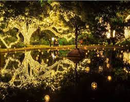 Celebrate The Holiday Season In Myrtle Beach Best Island Vacation Myrtle Beach Vacation Myrtle Beach Christmas