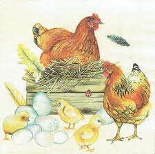 Serwetka decoupage 33x33 cm - kury , jajka i kurczęta artando.pl