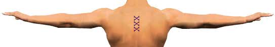 This first name has 3 letters including 2 vowels and 1 consonant. Kyo How To Write In Japanese Kanji Kanji Zone