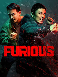 THE FURIOUS BY SANKARA