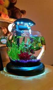 Amazon Com Tetra Waterfall Globe Aquarium Pet Supplies Aquarium Cool Fish Tanks Aquarium Kit
