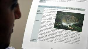 Hantavirus' is a family of viruses that spread by rodents. Man Dies Of Hantavirus In China Report
