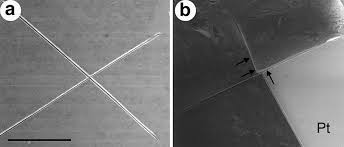 Recessed lighting fixtures kitsune names dnd. The Development Of Neural Stimulators A Review Of Preclinical Safety And Efficacy Studies Abstract Europe Pmc