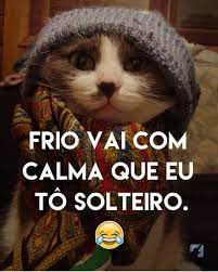 29 Ideias De Memes Frio Frases De Frio Engracadas Mensagem De Friozinho Engracado
