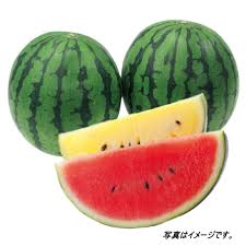 全国有機農法連絡会