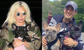 You're forever a hero, she wrote. Ryan Fischer Lady Gaga S Dog Walker To Make Full Recovery After Shooting